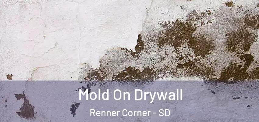 Mold On Drywall Renner Corner - SD
