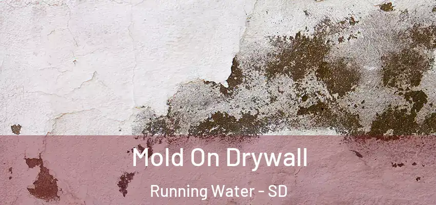  Mold On Drywall Running Water - SD