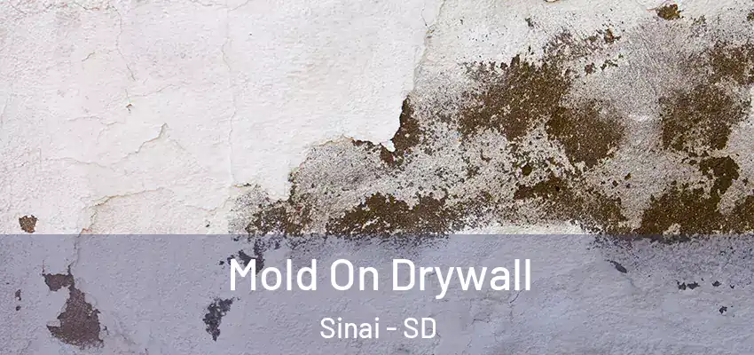 Mold On Drywall Sinai - SD
