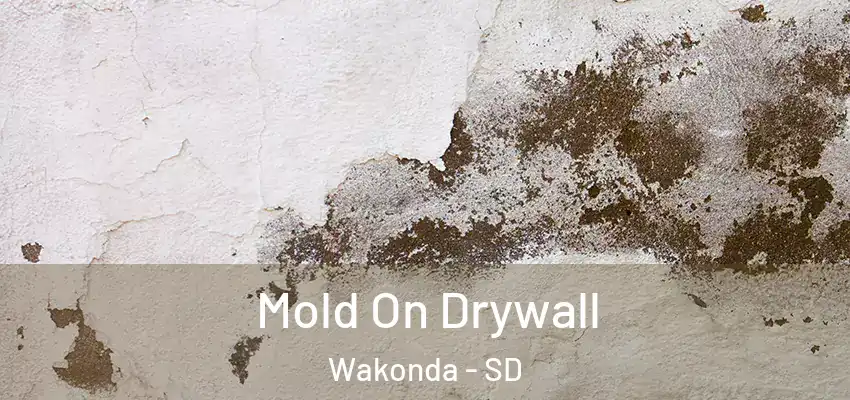  Mold On Drywall Wakonda - SD