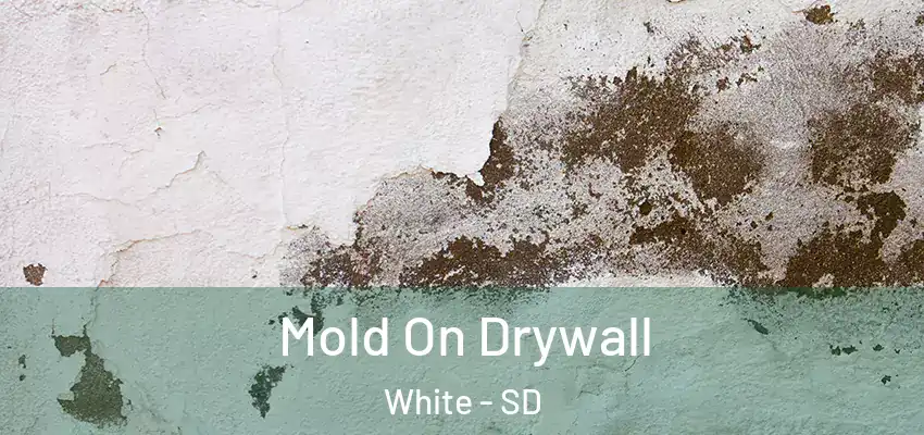  Mold On Drywall White - SD