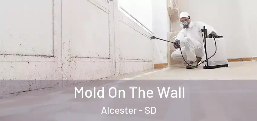  Mold On The Wall Alcester - SD