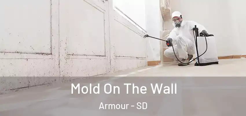  Mold On The Wall Armour - SD