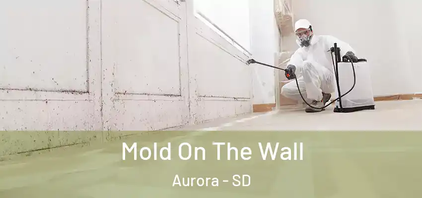 Mold On The Wall Aurora - SD