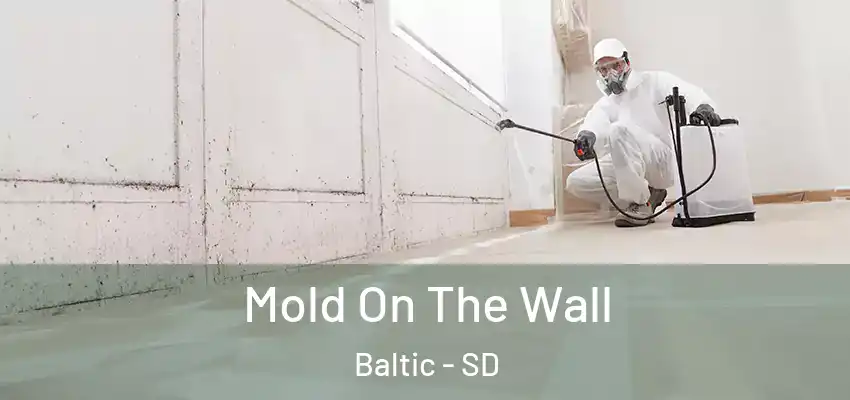 Mold On The Wall Baltic - SD