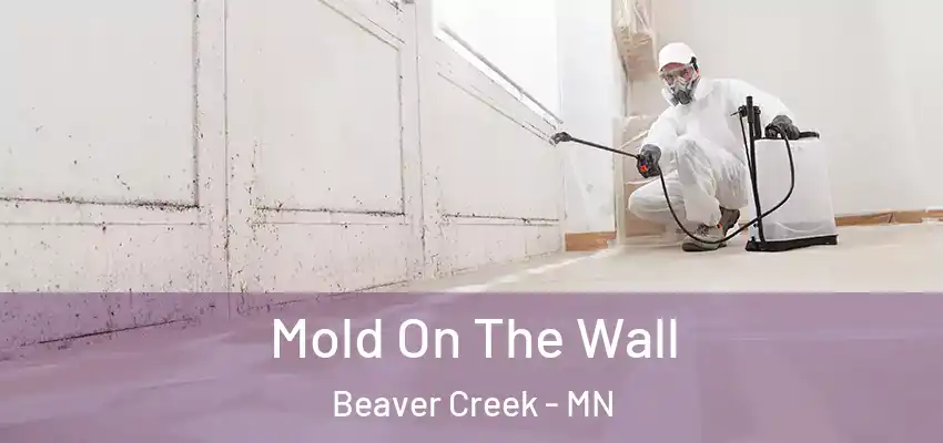  Mold On The Wall Beaver Creek - MN