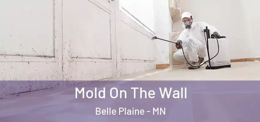  Mold On The Wall Belle Plaine - MN