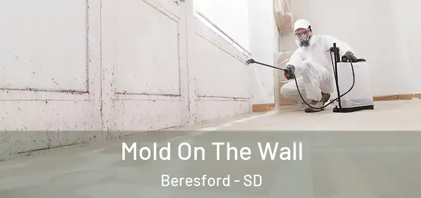  Mold On The Wall Beresford - SD