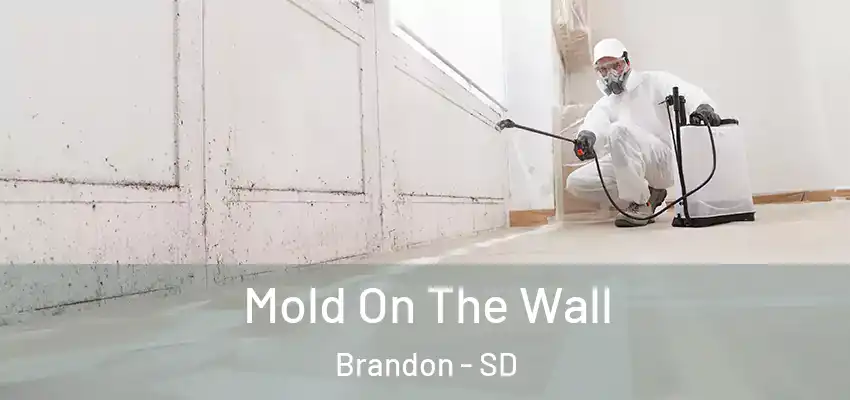 Mold On The Wall Brandon - SD
