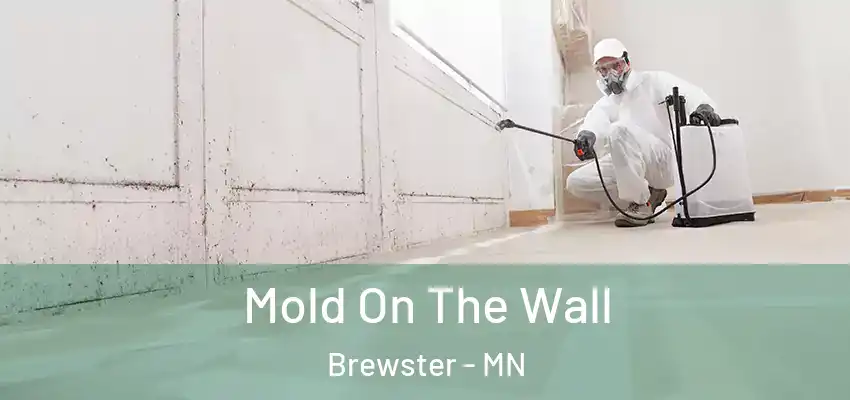  Mold On The Wall Brewster - MN