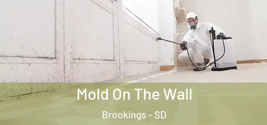 Mold On The Wall Brookings - SD