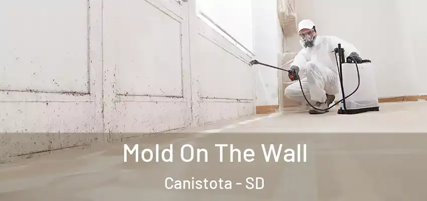 Mold On The Wall Canistota - SD