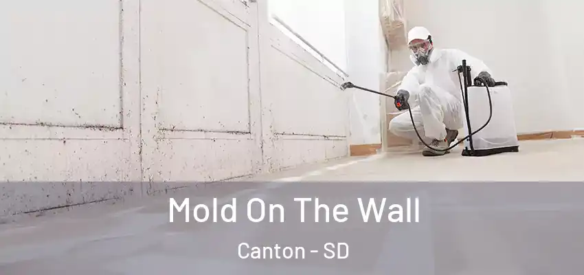 Mold On The Wall Canton - SD