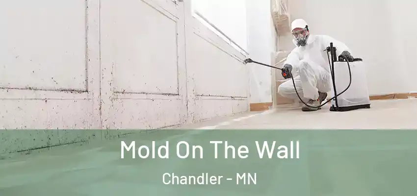 Mold On The Wall Chandler - MN