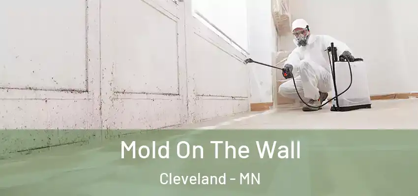  Mold On The Wall Cleveland - MN