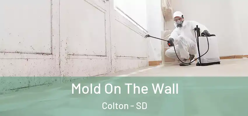 Mold On The Wall Colton - SD