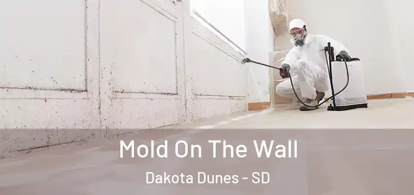Mold On The Wall Dakota Dunes - SD