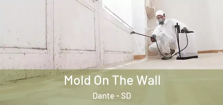 Mold On The Wall Dante - SD
