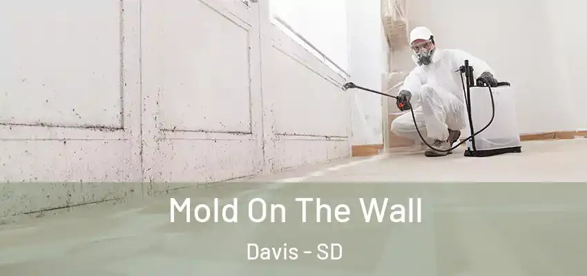  Mold On The Wall Davis - SD