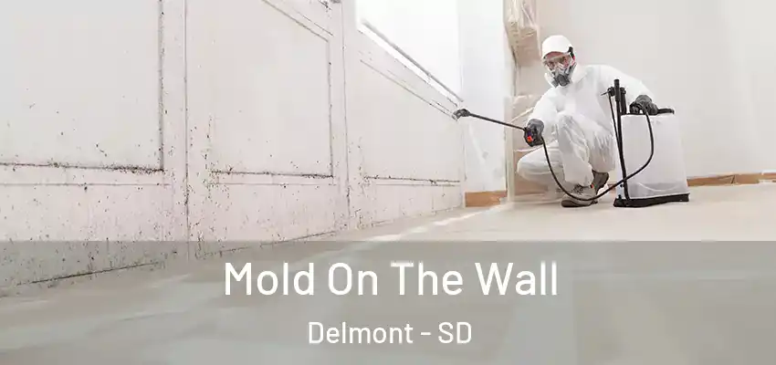 Mold On The Wall Delmont - SD