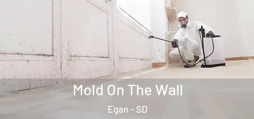  Mold On The Wall Egan - SD