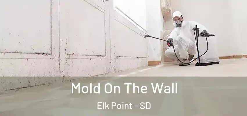  Mold On The Wall Elk Point - SD