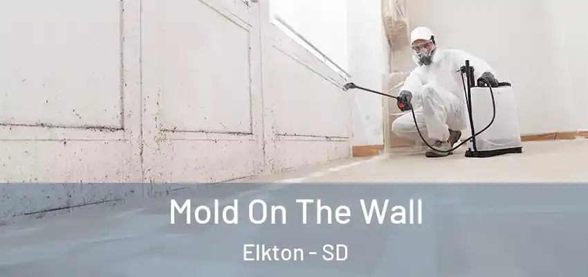  Mold On The Wall Elkton - SD