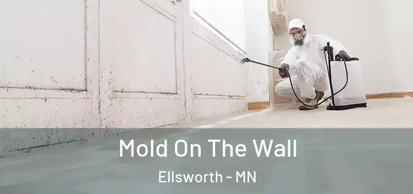 Mold On The Wall Ellsworth - MN