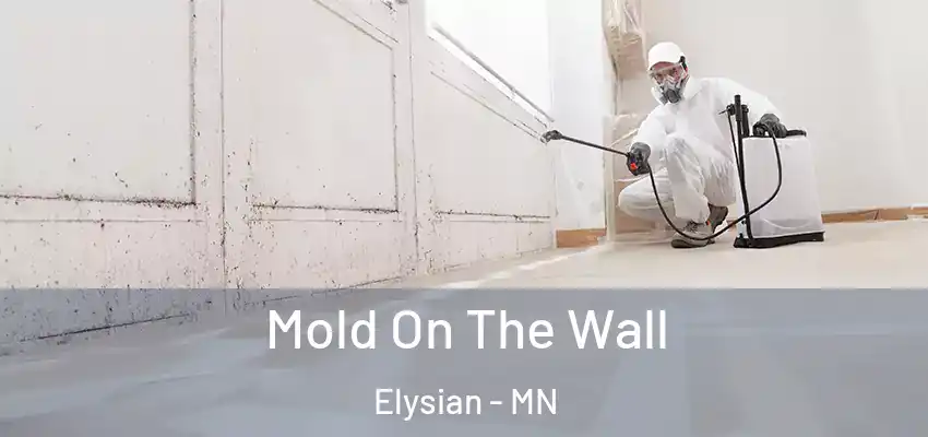  Mold On The Wall Elysian - MN