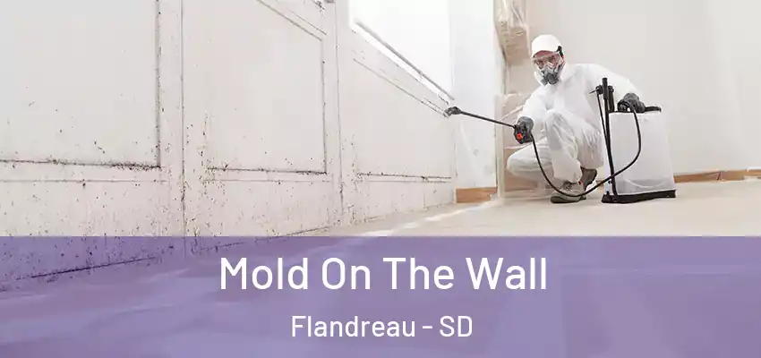 Mold On The Wall Flandreau - SD