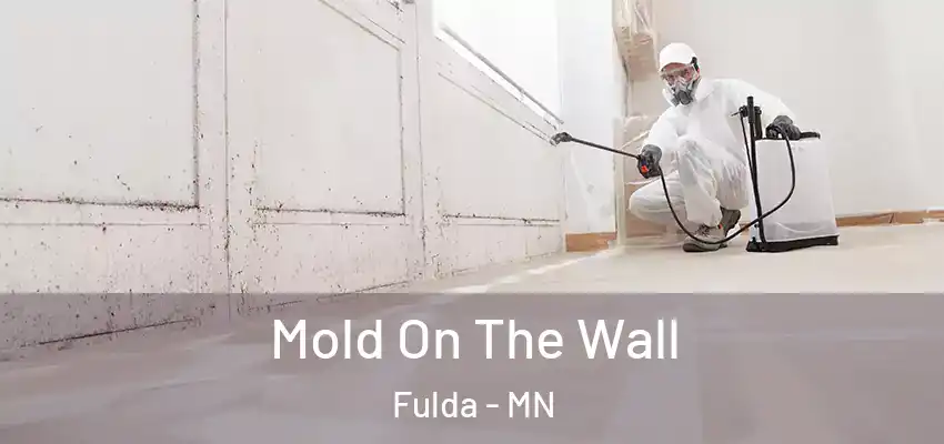 Mold On The Wall Fulda - MN
