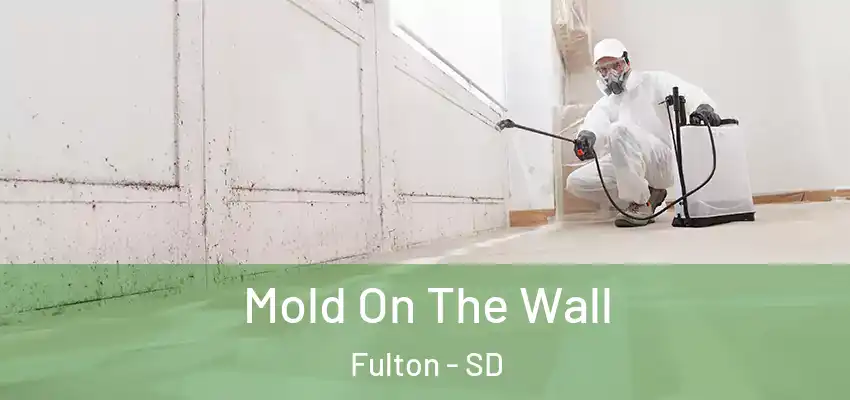  Mold On The Wall Fulton - SD