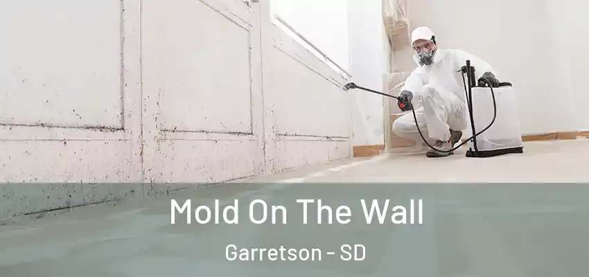 Mold On The Wall Garretson - SD
