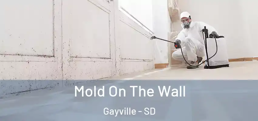 Mold On The Wall Gayville - SD