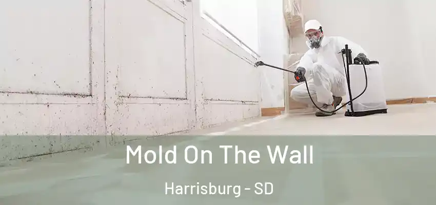Mold On The Wall Harrisburg - SD