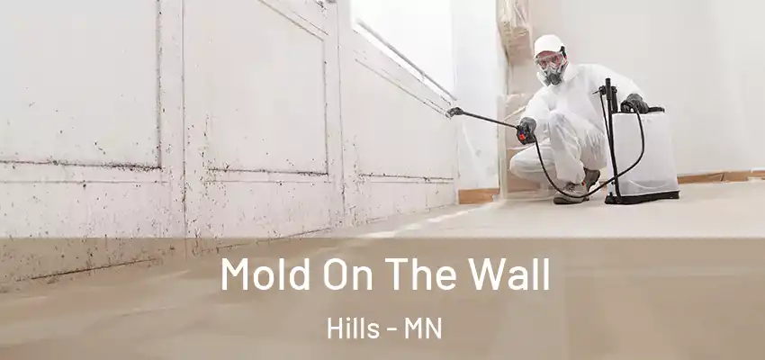  Mold On The Wall Hills - MN