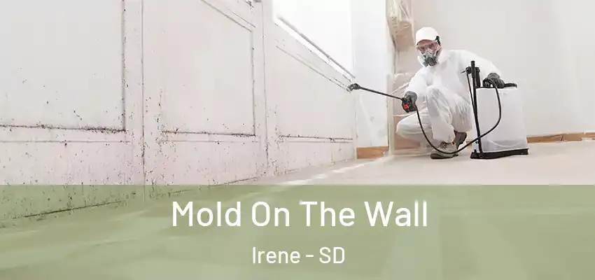 Mold On The Wall Irene - SD