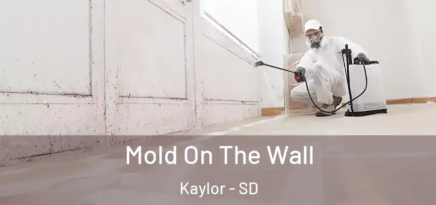  Mold On The Wall Kaylor - SD