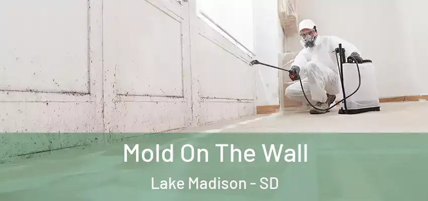  Mold On The Wall Lake Madison - SD