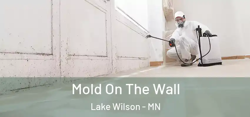 Mold On The Wall Lake Wilson - MN