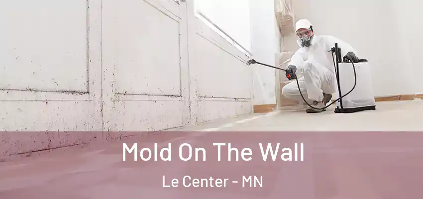  Mold On The Wall Le Center - MN