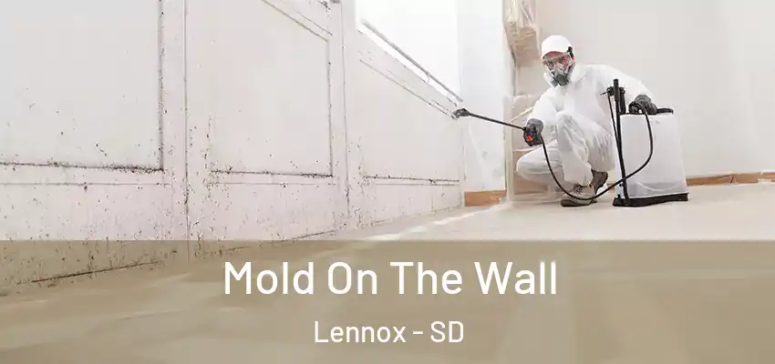 Mold On The Wall Lennox - SD
