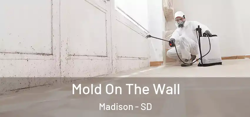 Mold On The Wall Madison - SD