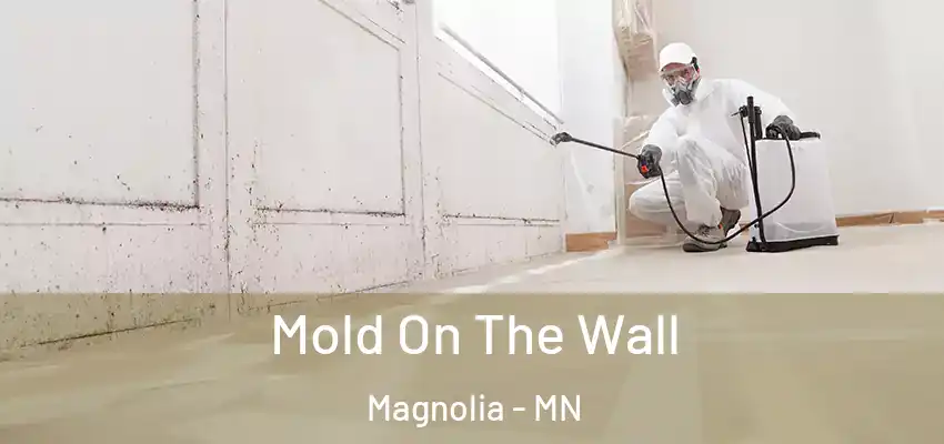 Mold On The Wall Magnolia - MN