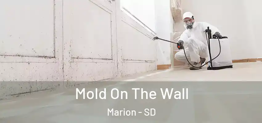 Mold On The Wall Marion - SD