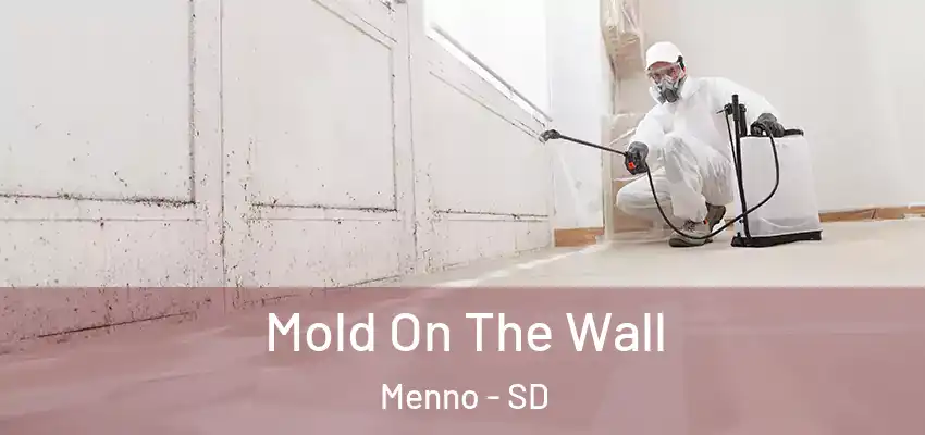 Mold On The Wall Menno - SD