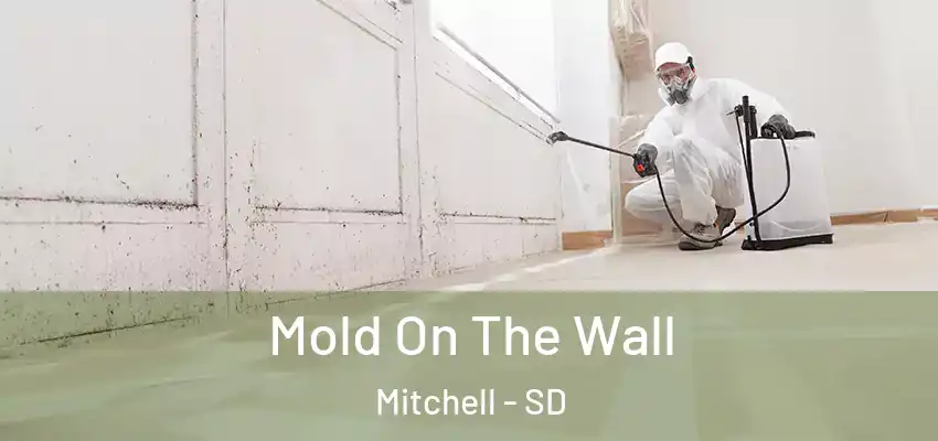  Mold On The Wall Mitchell - SD
