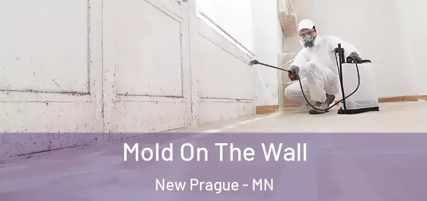  Mold On The Wall New Prague - MN