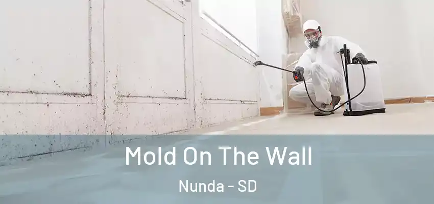Mold On The Wall Nunda - SD