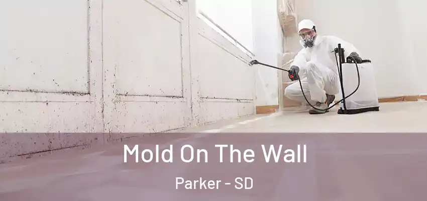 Mold On The Wall Parker - SD